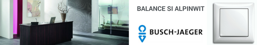 Busch Jaeger Balance SI