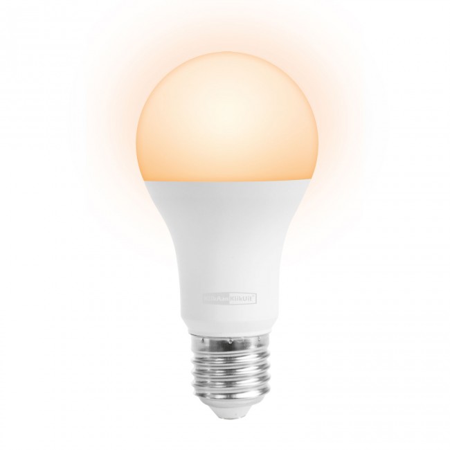 KlikAanKlikUit ALED-2009 LED Lamp Flame- Draadloos & Dimbaar