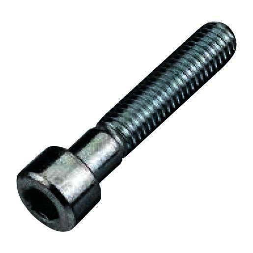 Hoenderdaal Binnenzeskantbout RVS-a2 cilinderkop m5x25