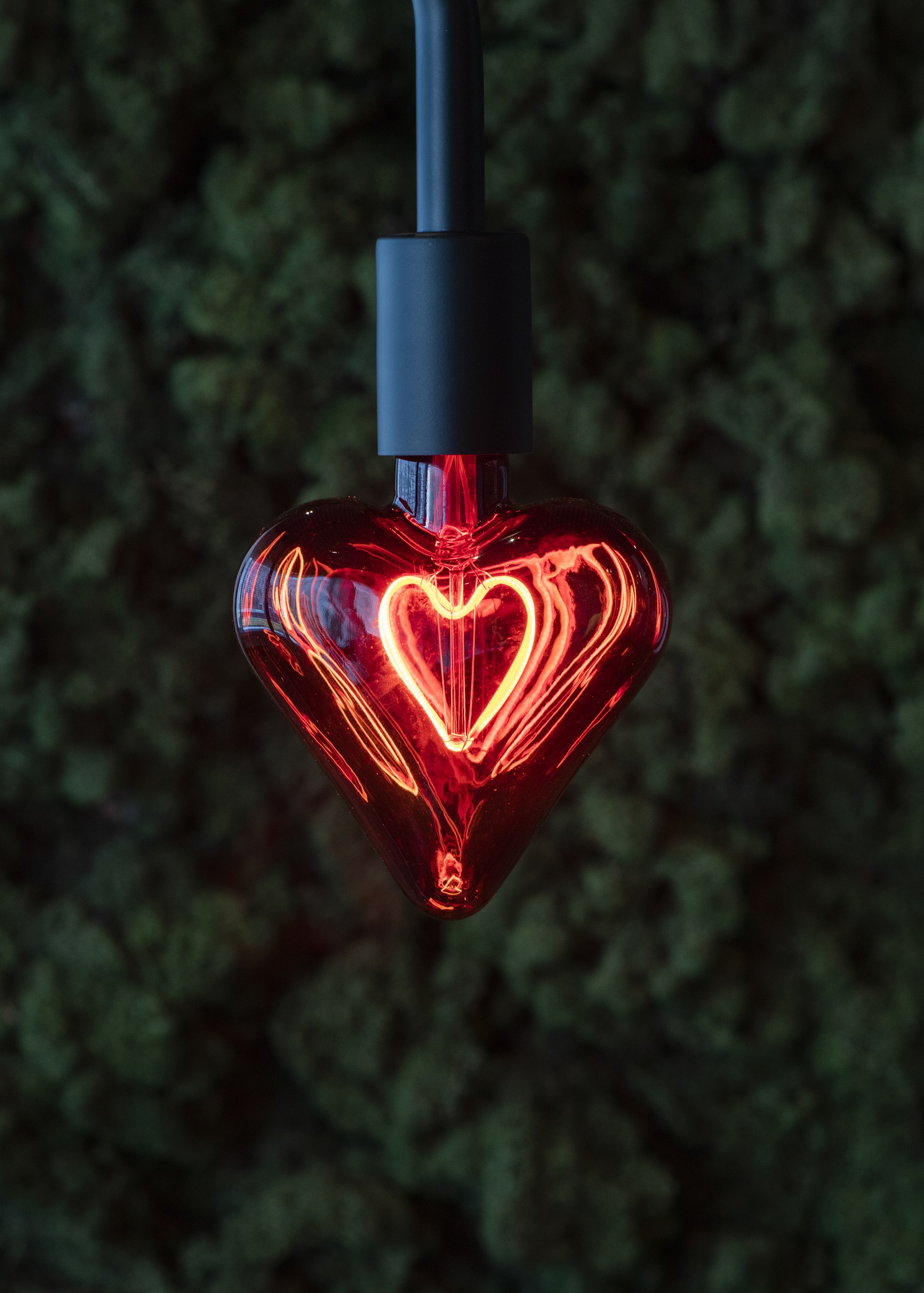 Bailey Led filament deco led-lamp e27 4W 820 2000K 150LM dimbaar