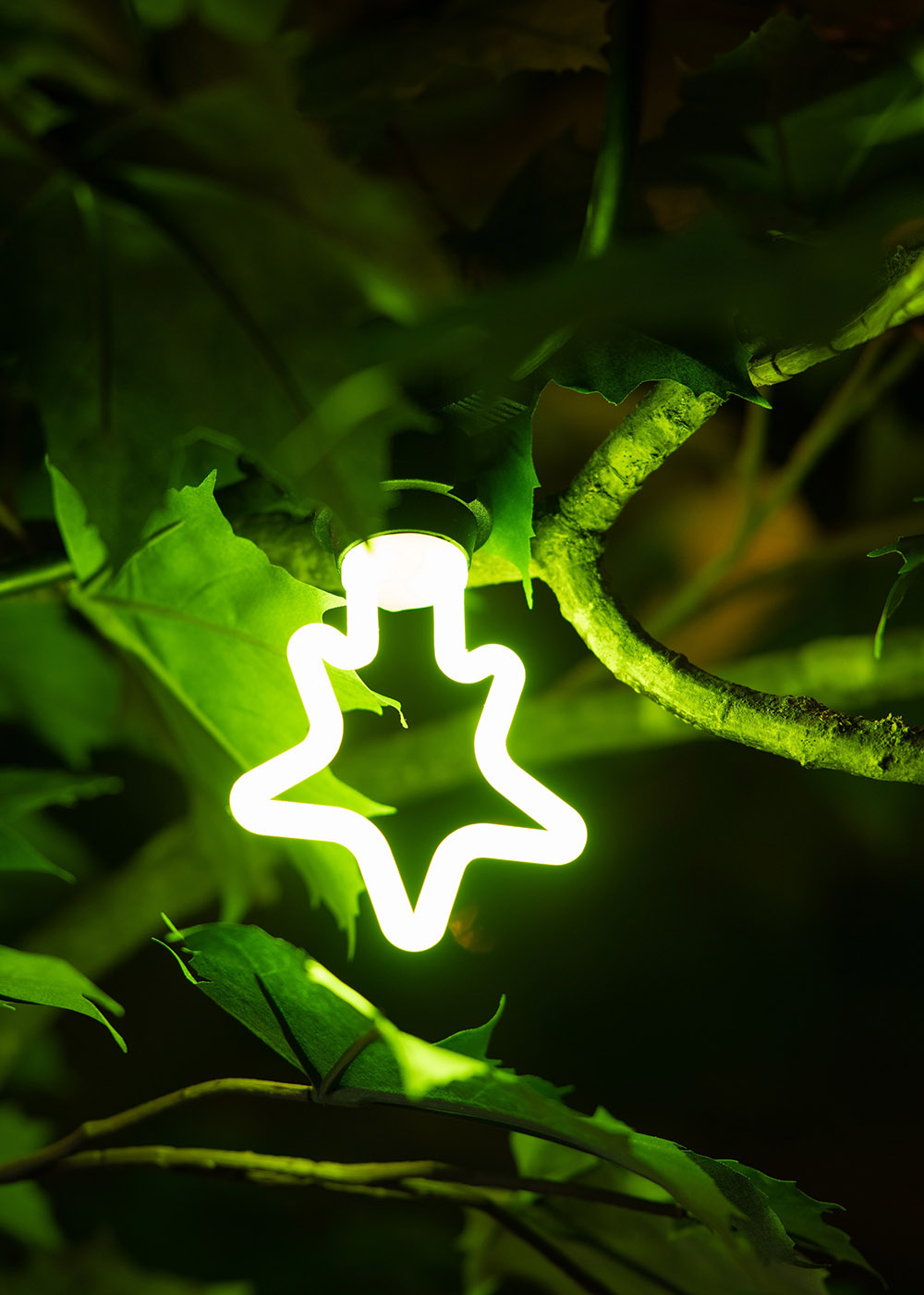 Bailey Led party bulb neon led-lamp e27 4W 300LM