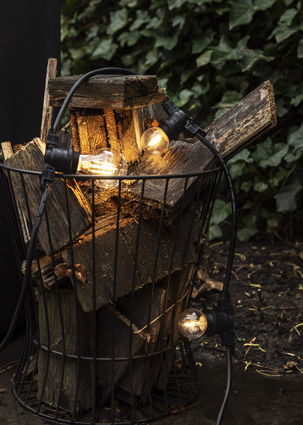 Bailey Led filament safe led-lamp B22D 2W bol 827 2700K 200LM