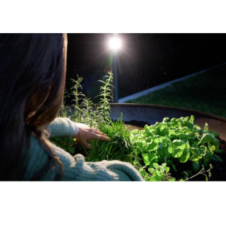 Steinel Buitenspot spot garden M an