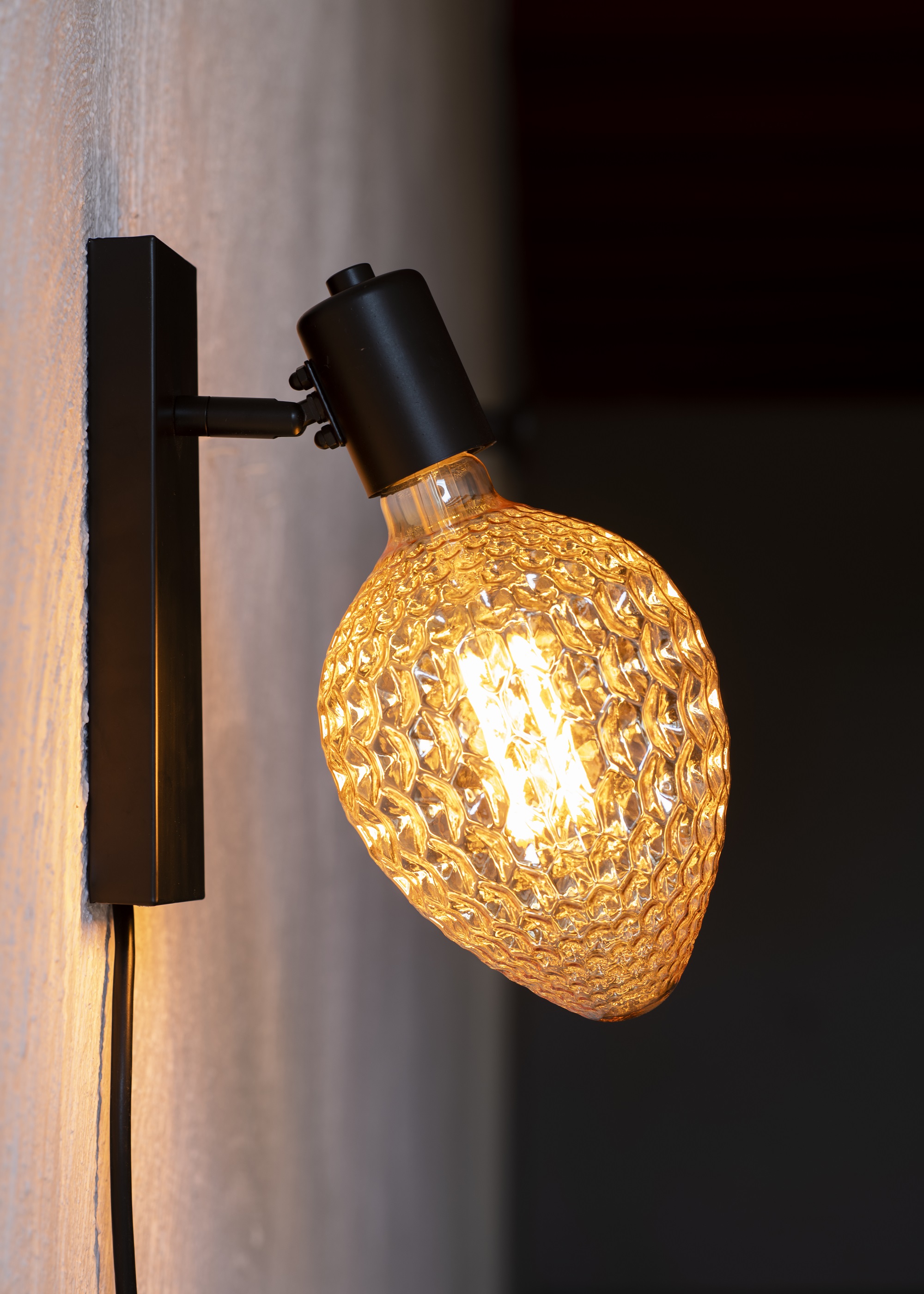 Bailey BaiLum ceiling/wall Wandlamp Metaal XL e27 zwart