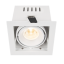 Hofflights Inbouw Plafondverlichting COLUMBIA 10W 2K7~4K 36° wit