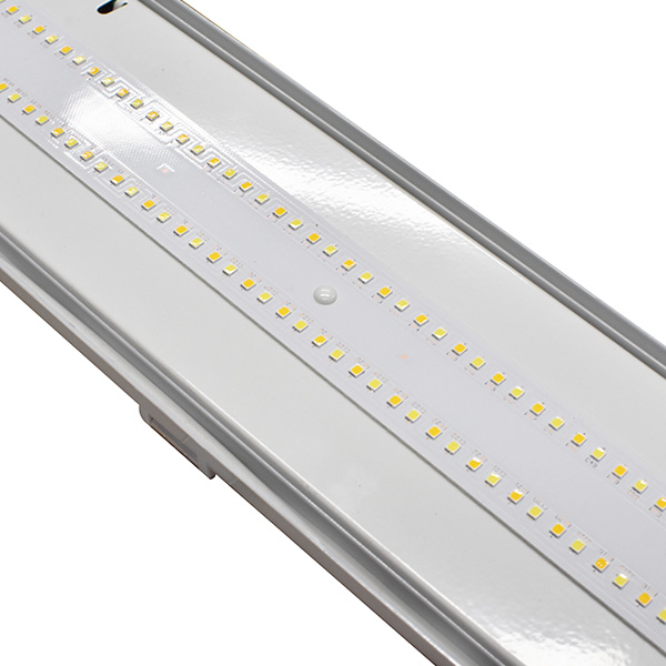 Dream Led ip66 opbouw 50W 1500MM incl. driver met noodmodule