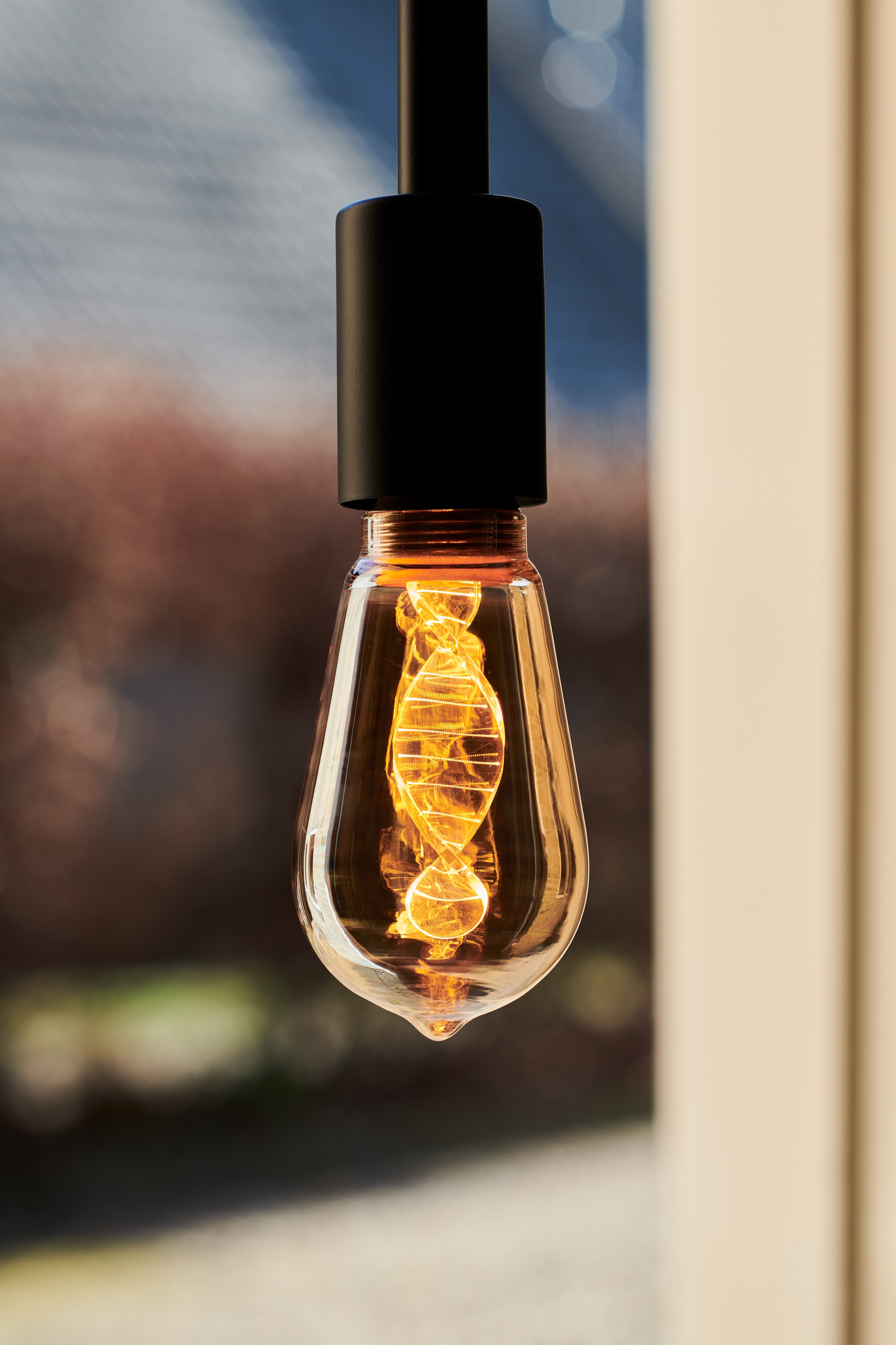 Spiraled Glow ST64 e27 dim 3.5W 120LM 818 goud