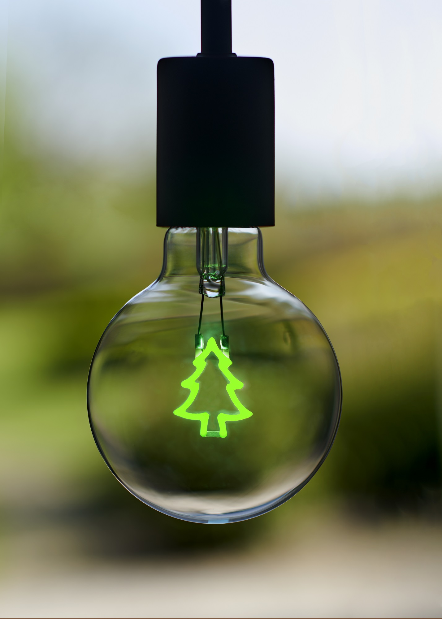 Bailey Effects by Bailey lights Led Silhouette christmas G95 e27 bu dim 2W 170LM groen helder