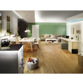 Paulmann Maxled 1000 stripe 2,5M daylight ip44 pro