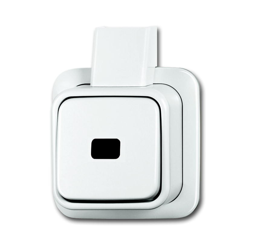 ABB Busch-Jaeger AP Pulsdrukker 1P maak + plaat opb ap alpin