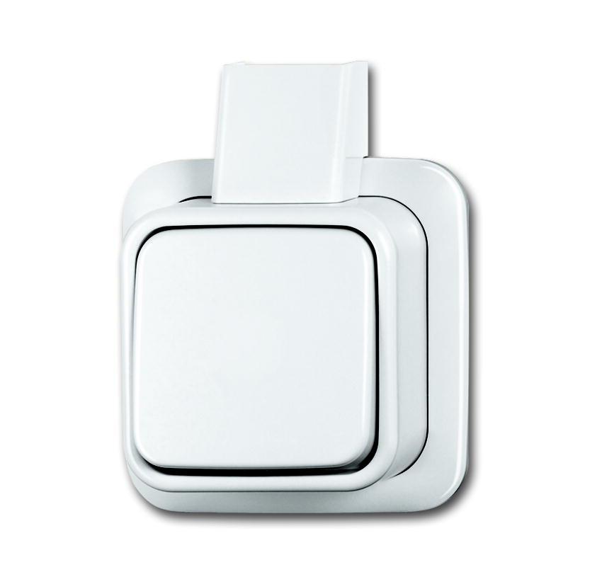 ABB Busch-Jaeger AP Schak Wis +plaat opb ap alpin