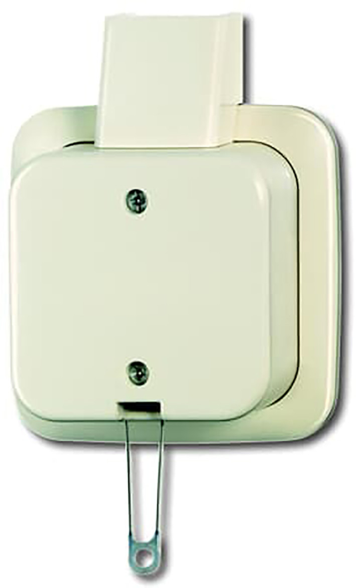 ABB Busch-Jaeger AP Trekschakelaar +plaat opb ap creme