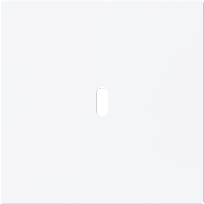 ABB Busch-Jaeger Art linear CPL Usb-C 65W voeding art-matwit