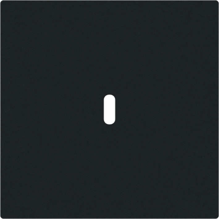 ABB Busch-Jaeger Art linear CPL Usb-C 65W voeding art-matzwart