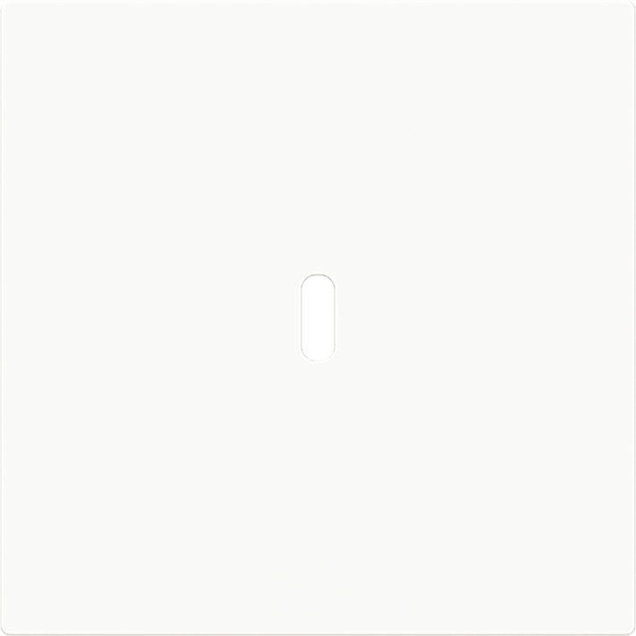 ABB Busch-Jaeger Art linear CPL Usb-C 65W voeding art-wit