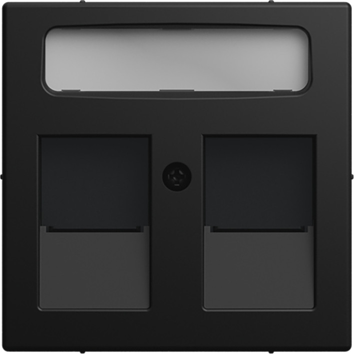 ABB Busch-Jaeger Balance CPL 2 X mod jack schuifjes si-B-matzwart