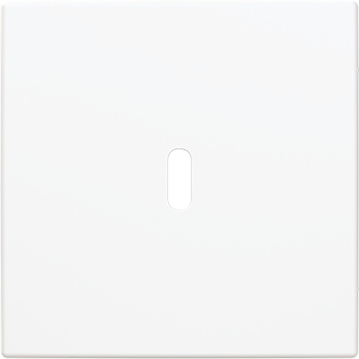 ABB Busch-Jaeger Balance CPL Usb-C 65W voeding si-B-alpinwit