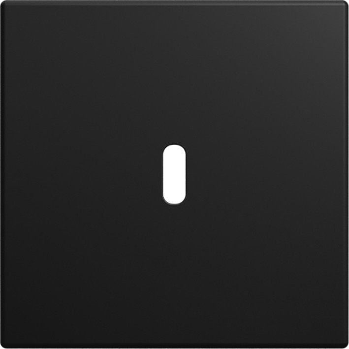 ABB Busch-Jaeger Balance CPL Usb-C 65W voeding si-B-matzwart