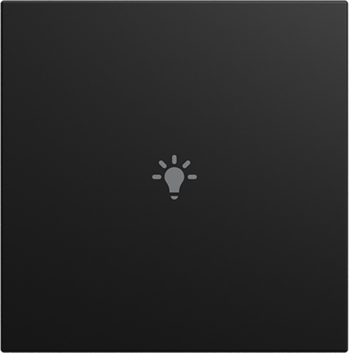 ABB Busch-Jaeger Balance CPL V 1V drukknop lichtsymbool si-B-matzwart