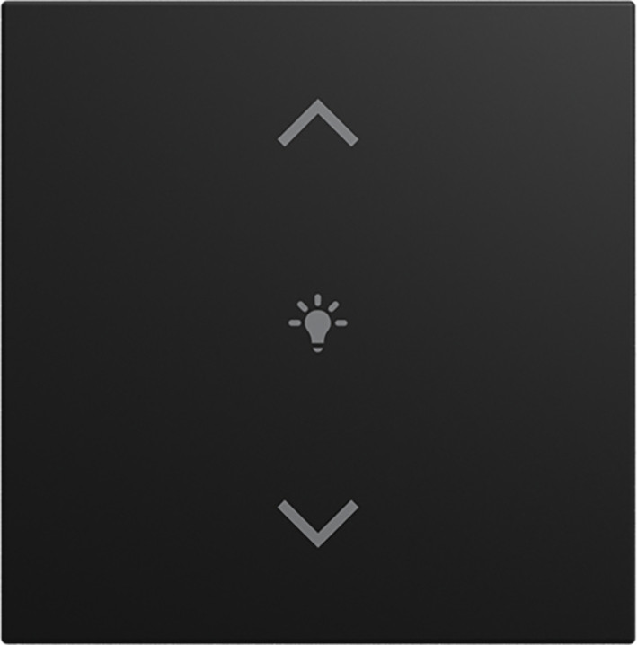 ABB Busch-Jaeger Balance CPL V 1V wip dimsymbool si-B-matzwart