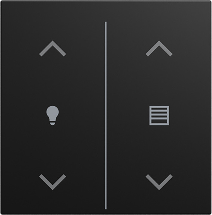 ABB Busch-Jaeger Balance CPL V 2V wip dim/jaloezie symbool si-B-matzwart