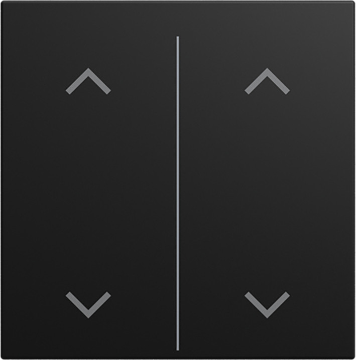 ABB Busch-Jaeger Balance CPL V 2V wip omhoog/omlaag symbool si-B-matzwart