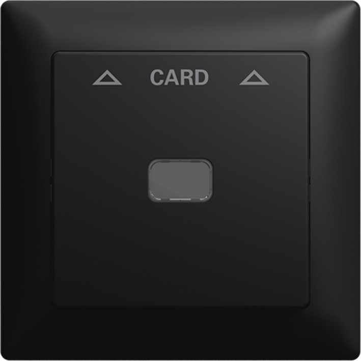 ABB Busch-Jaeger Balance CPL V card-schakelaar 1V si-B-matzwart