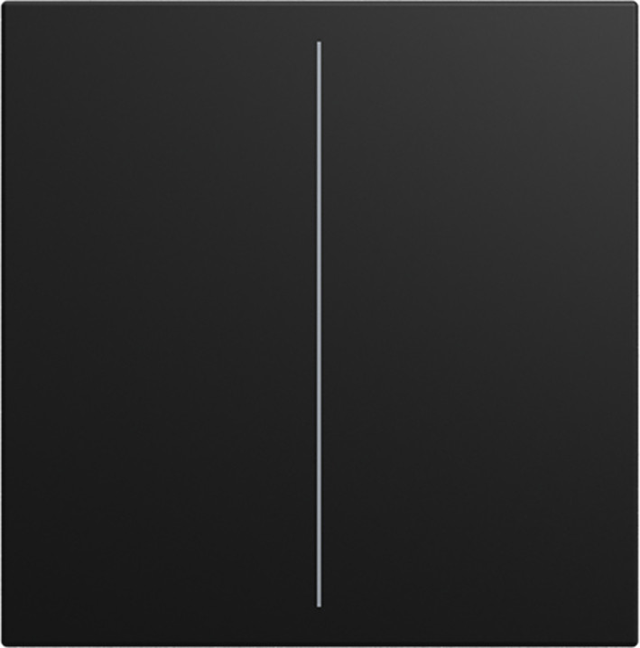 ABB Busch-Jaeger Balance CPL V keypad 2-voudig si-B-matzwart