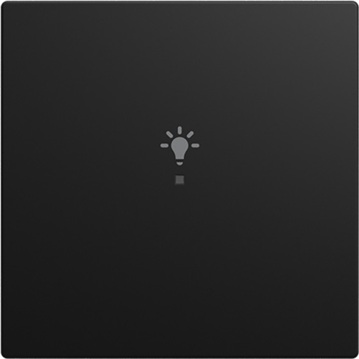 ABB Busch-Jaeger Balance Fah Bedieningswip 1-V licht si-B-matzwart