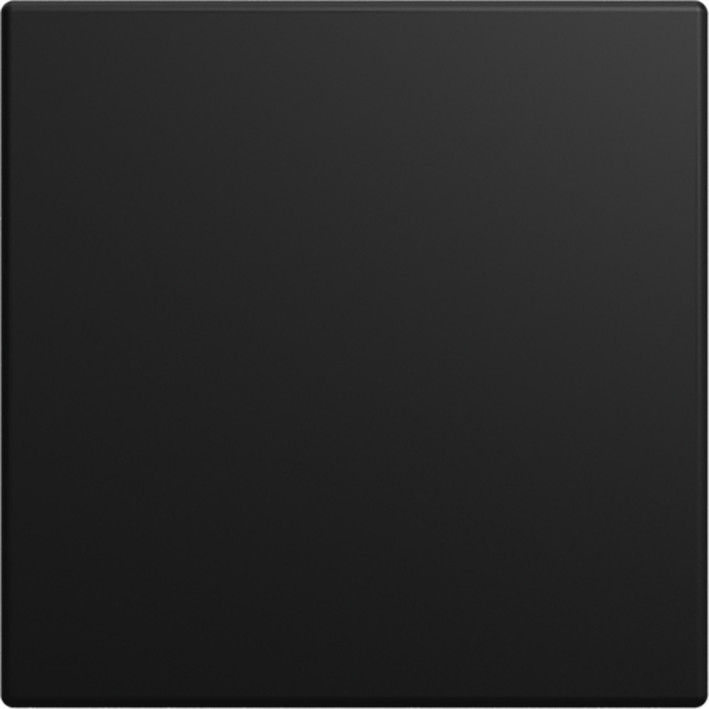 ABB Busch-Jaeger Balance Infoline CPL blind si-B-matzwart