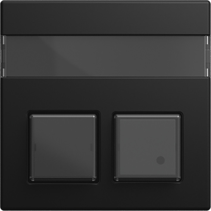 ABB Busch-Jaeger Balance Infoline CPL V 1520/1 ukz si-B-matzwart