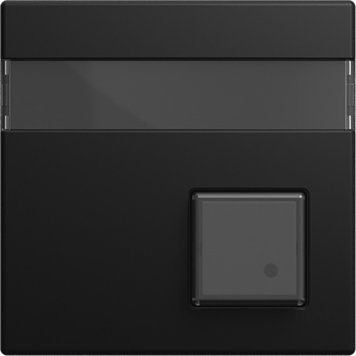 ABB Busch-Jaeger Balance Infoline CPL V impulsdrukker si-B-matzwart