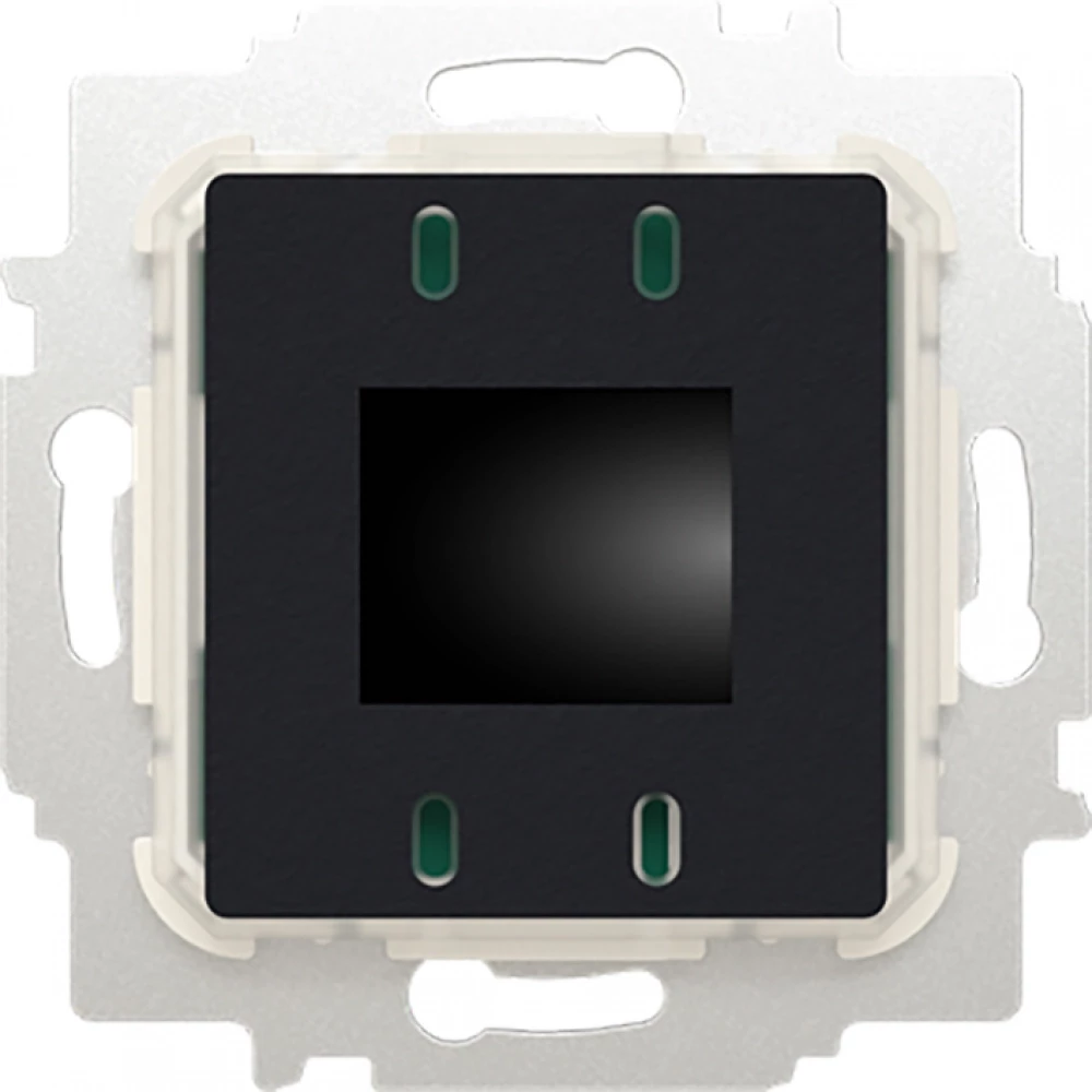 ABB Busch-Jaeger Balance, SI, Future, Solo, Carat, P Ruimtethermostaat Inb 24V ac BT