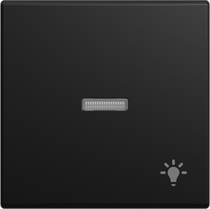 ABB Busch-Jaeger Balance Wip Lens V pulsdr lichtsymbool si-B-matzwart