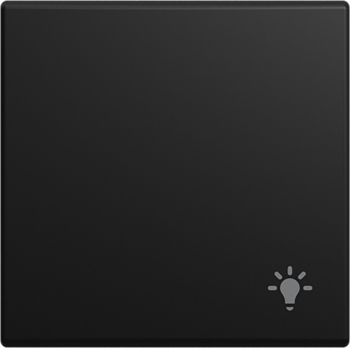 ABB Busch-Jaeger Balance Wip V pulsdr lichtsymbool si-B-matzwart