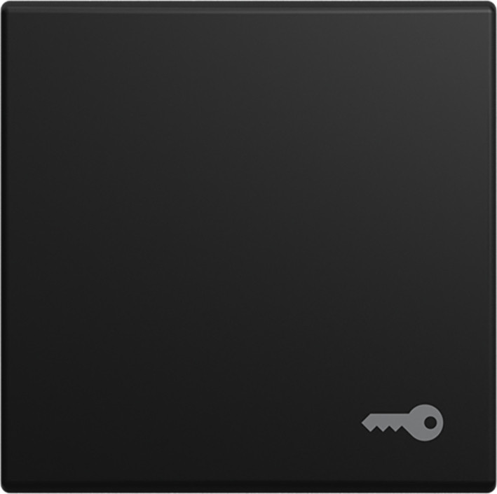 ABB Busch-Jaeger Balance Wip V pulsdr sleutelsymbool si-B-matzwart