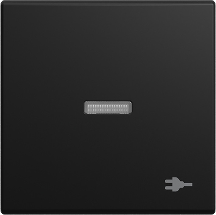 ABB Busch-Jaeger Balance Wip V wis contr wcdsymbool si-B-matzwart