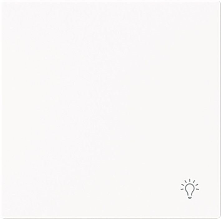 ABB Busch-Jaeger Art linear Wip V pulsdr lichtsymbool art-matwit