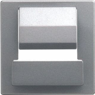 Abb Busch-jaeger powerdock centraalplaat usb roestvaststaal ( RVS )