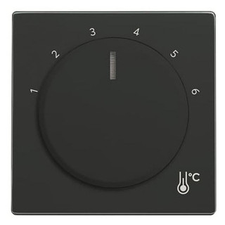 Abb Busch-jaeger CPL V thermostaat 1094/97u F-antraciet