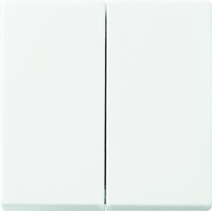 ABB Busch-Jaeger Draadloos, Balance Foh-Bedieningswip dubbel balance alpinwit 10 stuks