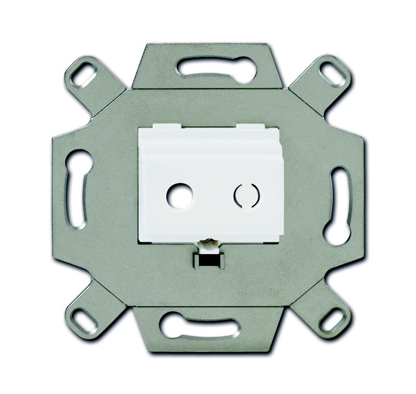 Abb Busch-jaeger draagring V 2X minijack alpinwit