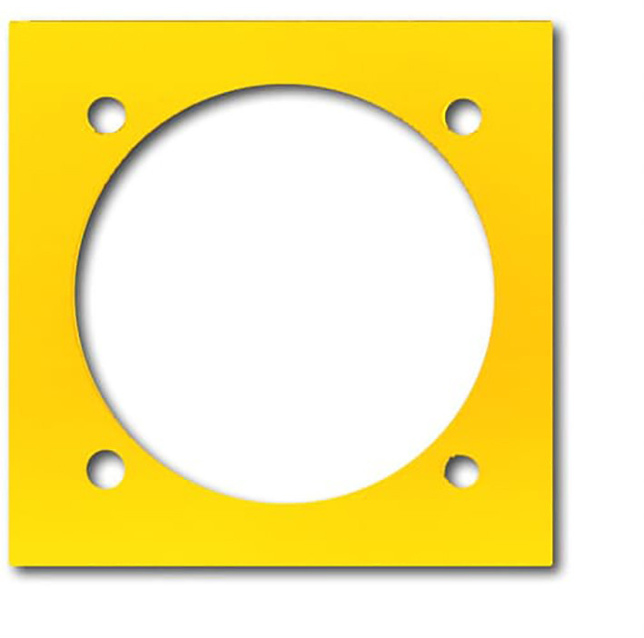 ABB Busch-Jaeger EVE Eve Plaat boring 70MM