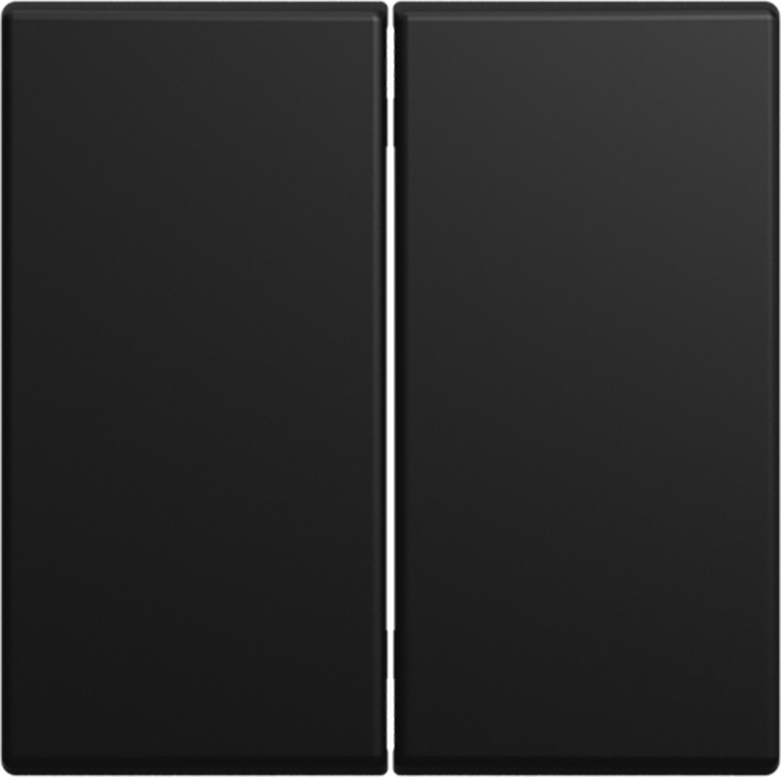 ABB Busch-Jaeger FoHue, Balance Foh-Bedieningswip dubbel si-B-matzwart