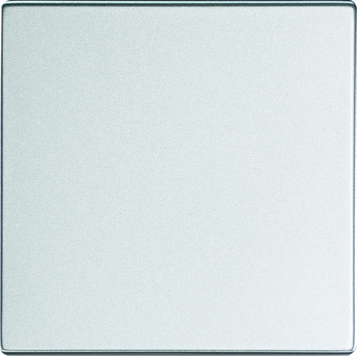 ABB Busch-Jaeger FoHue, Future Foh-Bedieningswip enkel future aluzilver