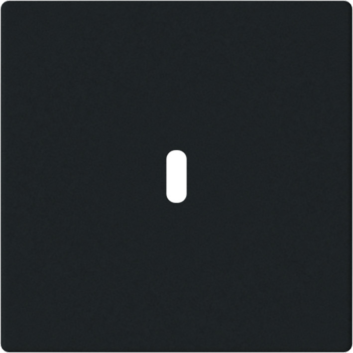 ABB Busch-Jaeger Future, Axcent, Carat CPL Usb-C 65W voeding F-matzwart