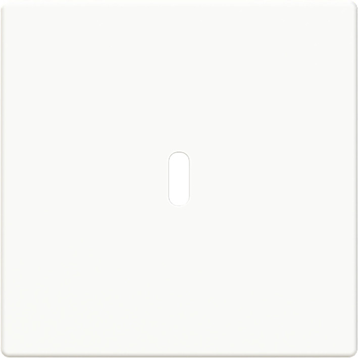 ABB Busch-Jaeger Future, Solo, Axcent, Carat CPL Usb-C 65W voeding F-studiowit