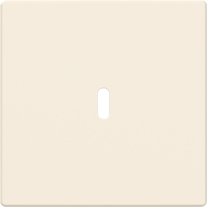 ABB Busch-Jaeger Future, Solo, Carat CPL Usb-C 65W voeding S-ivoor