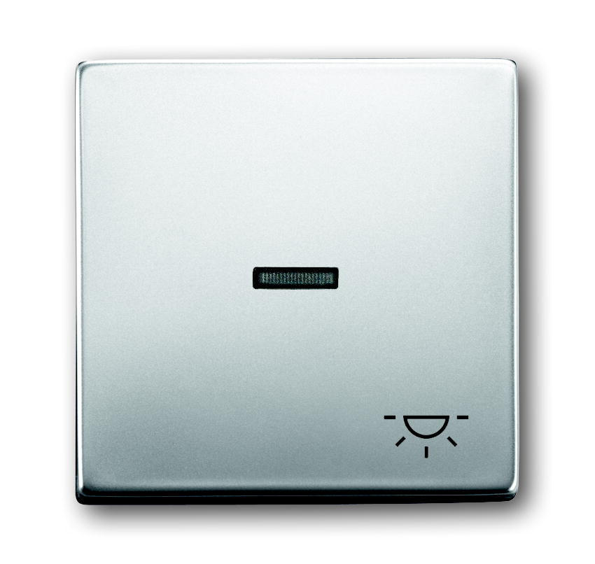 ABB Busch-Jaeger Pure Stainless steel wip met lens V pulsdr licht pure-RVS