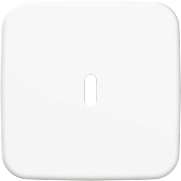 ABB Busch-Jaeger Reflex SI CPL Usb-C 65W voeding R-alpin